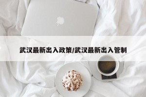 武汉最新出入政策/武汉最新出入管制